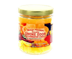 Smoke Odor Exterminator Candle 13oz Mango Pineapple Smoothie