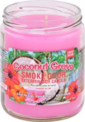 Smoke Odor Exterminator Candle 13oz Coconut Grove