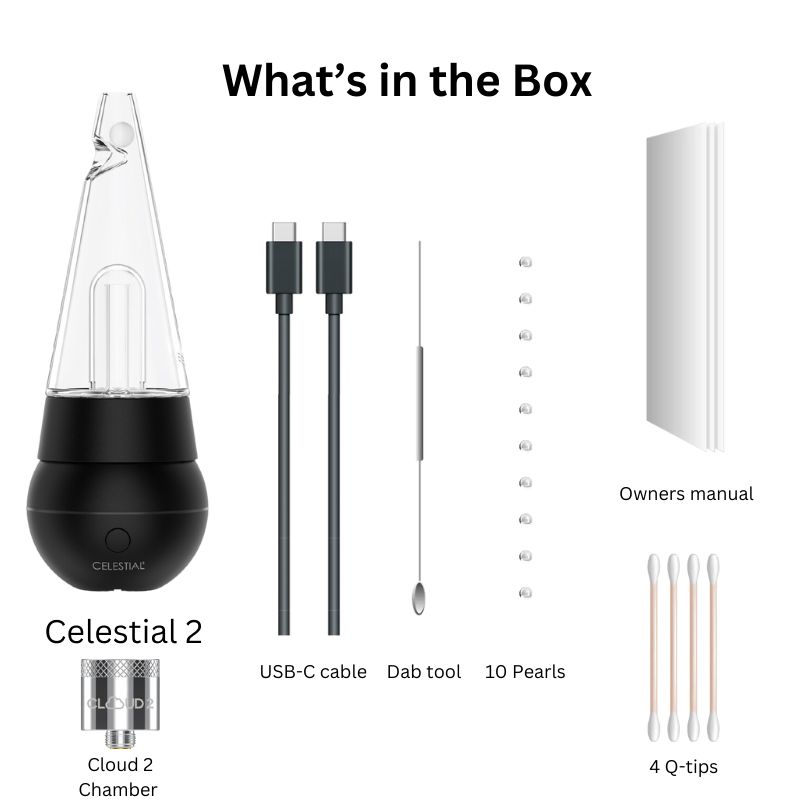 YOCAN BLACK CELESTIAL 2 E-RIG