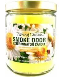 Smoke Odor Exterminator Candle 13oz Picking Daisies